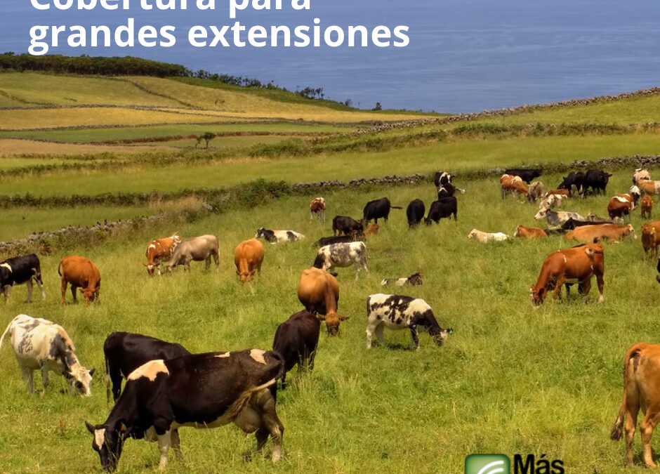 Instalar una amplificador de señal para grandes extensiones o casas de campo