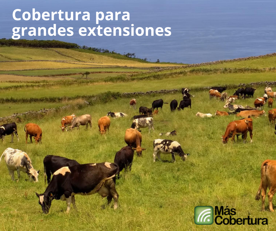 Instalar una amplificador de señal para grandes extensiones o casas de campo