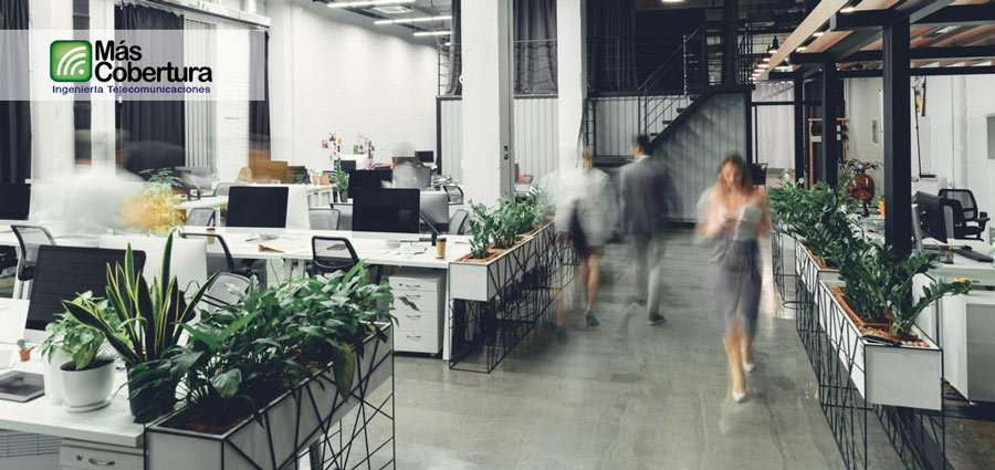 ¿Problemas de señal? Cómo mejorar la cobertura móvil y wifi en tu empresa